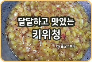 키위보관방법 키위냉장보관 키위냉동보관_썸네일