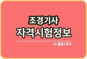 건축기사 자격증 시험정보 일정 취업률 합격률 전망_썸네일