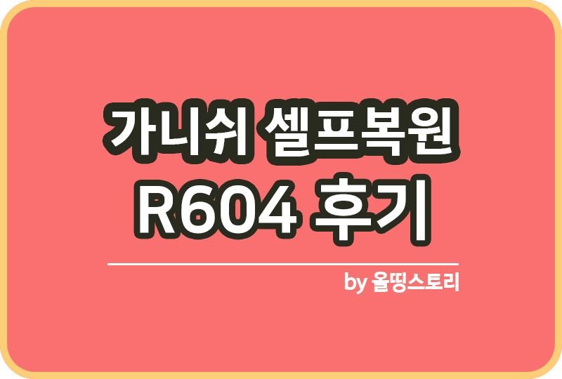 가니쉬복원제 R604 후기 플라스틱 셀프복원_썸네일