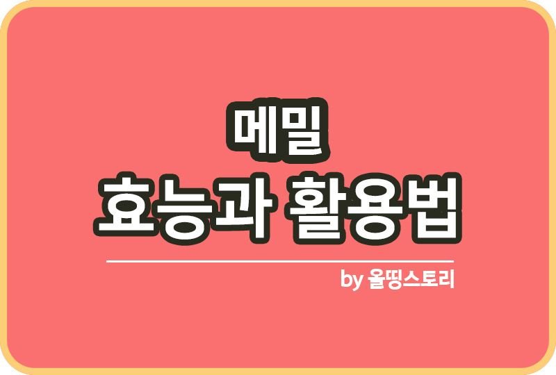 메밀 요리 3가지와 부작용 알아보기 메밀국수_썸네일