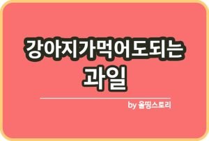 올띵스토리썸네일(낫띵)-복사ㅇㄹㅇㅁㄴ