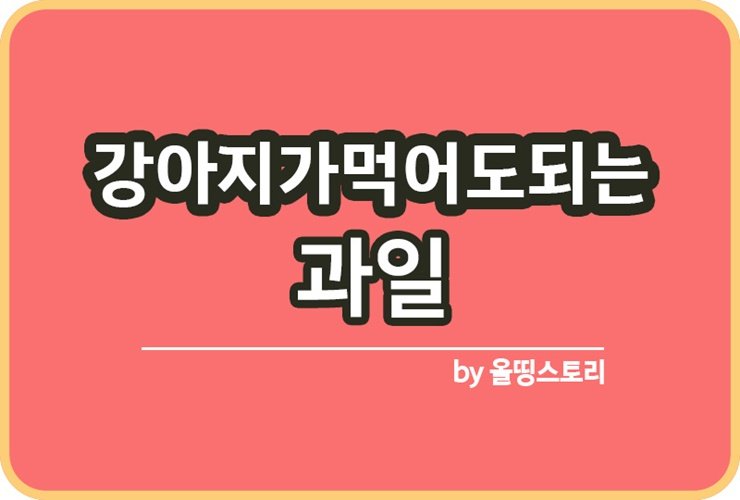 올띵스토리썸네일(낫띵)-복사ㅇㄹㅇㅁㄴ