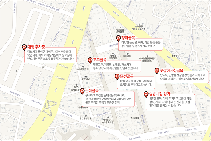 속초관광수산시장 가는방법 위치 영업시간 속초중앙시장_1