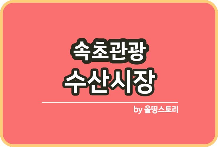 속초관광수산시장 가는방법 위치 영업시간 속초중앙시장_썸네일