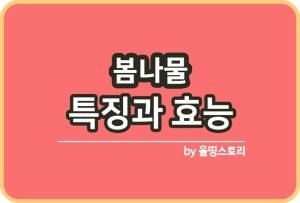 겨울철 먹기 좋은 반찬 추천 입맛 돋우는 겨울 밥상 가이드_썸네일