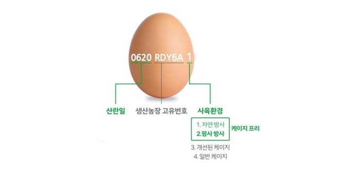 계란 종류 계란난각번호 특징 차이점_1