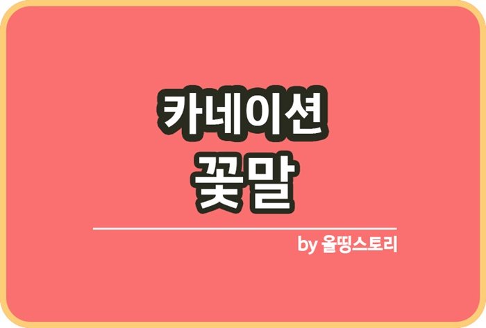 어버이날선물 카네이션 색깔별꽃말 특징 꽃추천_썸네일