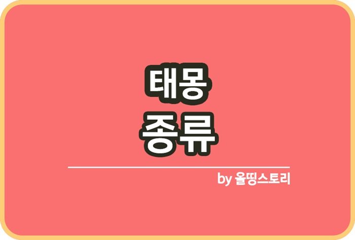 태몽 종류 여자아이태몽 남자아이태몽 태몽이란_썸네일