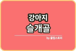 강아지슬개골 탈구 원인 치료방법 슬개골관리_썸네일
