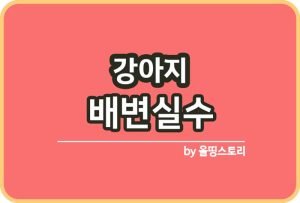 ㅁ낭른ㅁ르