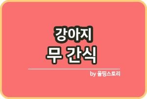 강아지 상추간식 주의할점 강아지상추 레시피_썸네일