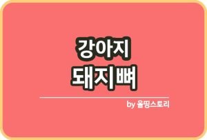 미람능ㄹㅇㄴㄹ