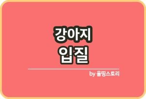 올띵스토리썸네일(낫띵)-복사ㄴㅇ림날늘