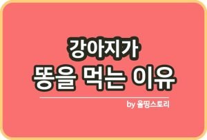 올띵스토리썸네일(낫띵)-복사ㅁㄴ이람늘ㅇ