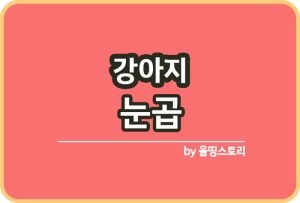 올띵스토리썸네일(낫띵)-복사ㅁㅇㄹ나름ㄹ