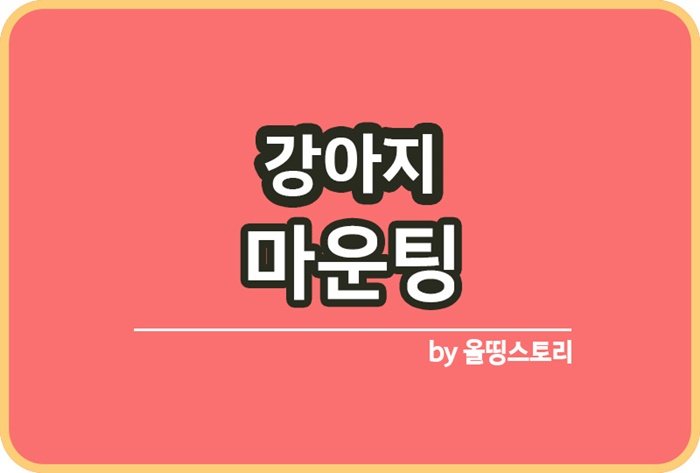 강아지 마운팅 이유 관리방법 반려견마운팅_썸네일