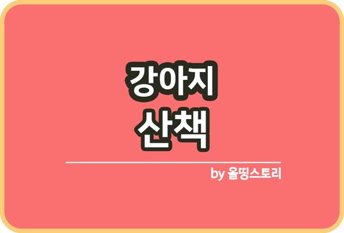 강아지 산책 중요성 주의할점 반려견 산책방법_썸네일