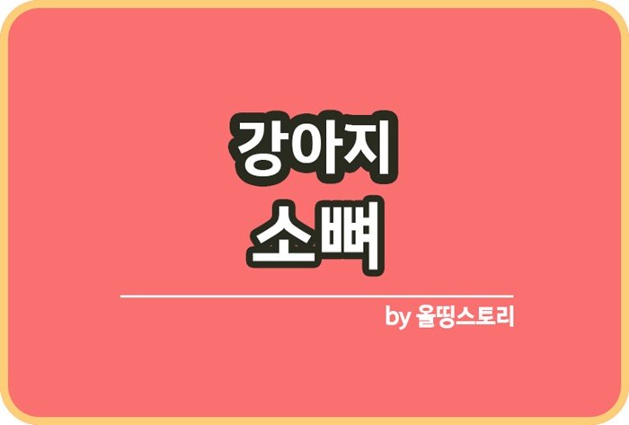 강아지 소뼈 간식 주의할점 반려견소뼈 먹여도되나_썸네일