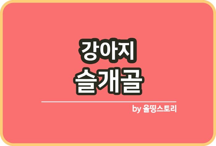 강아지 슬개골 원인 증상 치료방법 무릎뼈건강_썸네일