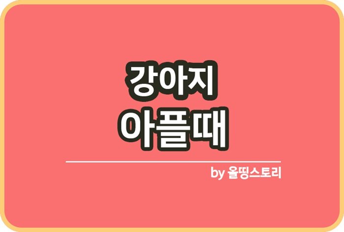 강아지 아플때 행동 증상 대처방법 아픈강아지_썸네일