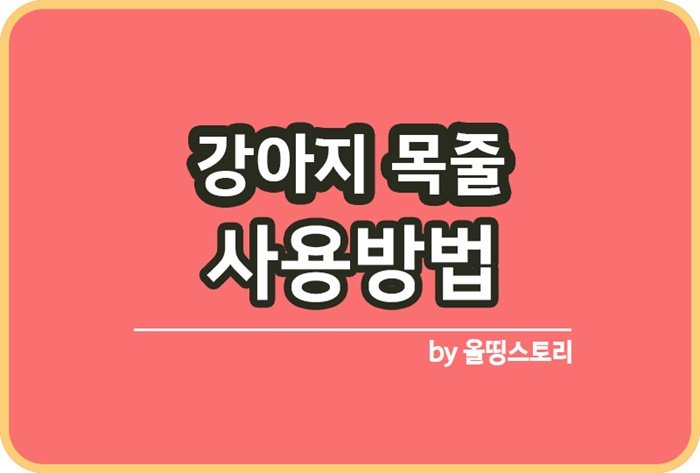 강아지 목줄 종류 사용방법 강아지목줄_썸네일