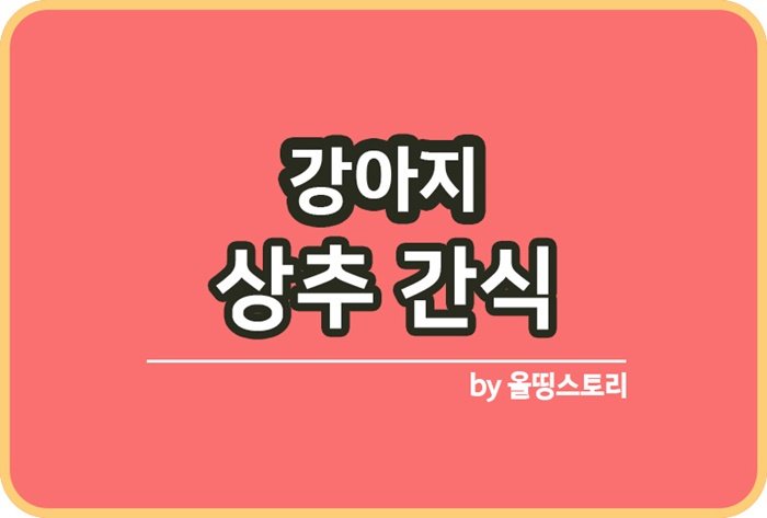 강아지 상추간식 주의할점 강아지상추 레시피_썸네일