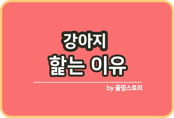 강아지가 핥는이유 반려견 핥는행동 강아지행동_썸네일