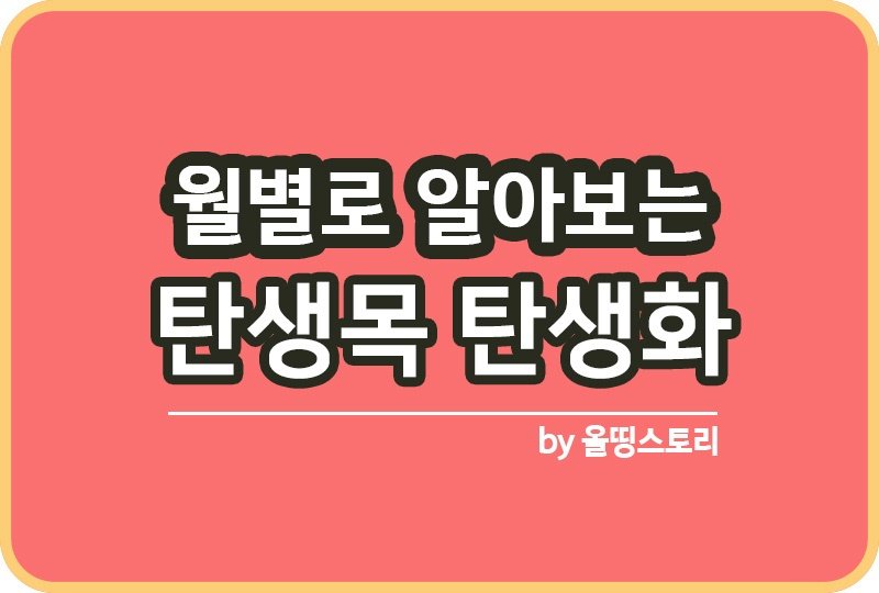탄생목 탄생화 월별로 알아보는 탄생목 탄생화 의미_썸네일