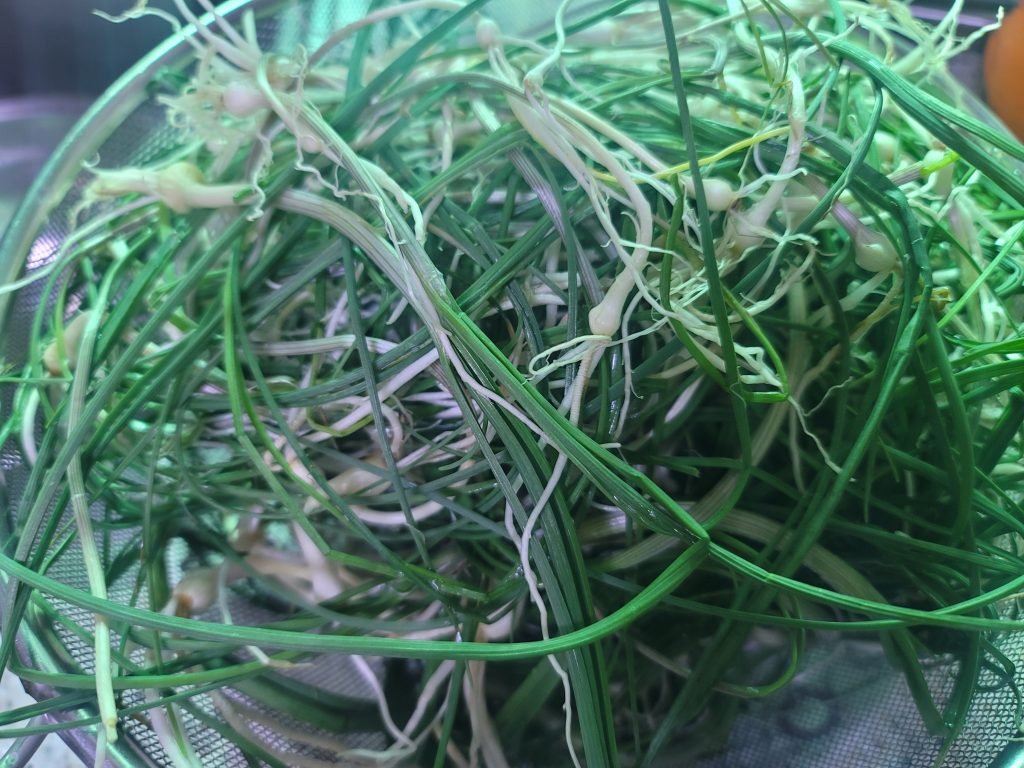달래무침 레시피 향긋함가득 달래요리방법_1