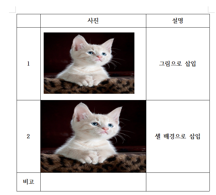 아래아한글 표에 그림 깔끔하게 넣는 쉬운 방법_7