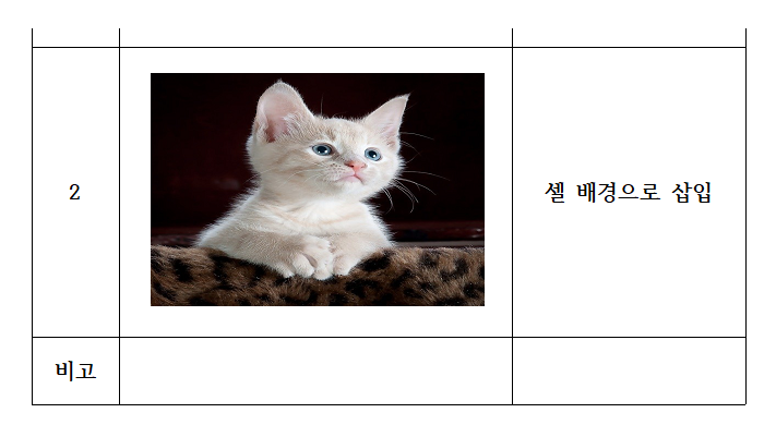 아래아한글 표에 그림 깔끔하게 넣는 쉬운 방법_12