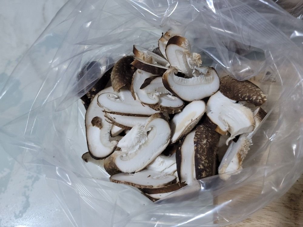 표고버섯 보관하는 방법 표고버섯손질 냉동보관_4