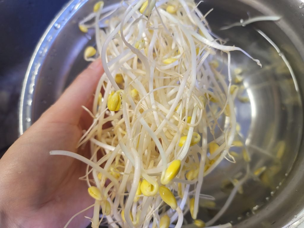 황태콩나물국 레시피 콩나물국 만드는방법 시원칼칼한해장국_2