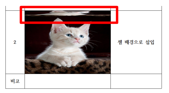 아래아한글 표에 그림 깔끔하게 넣는 쉬운 방법_9