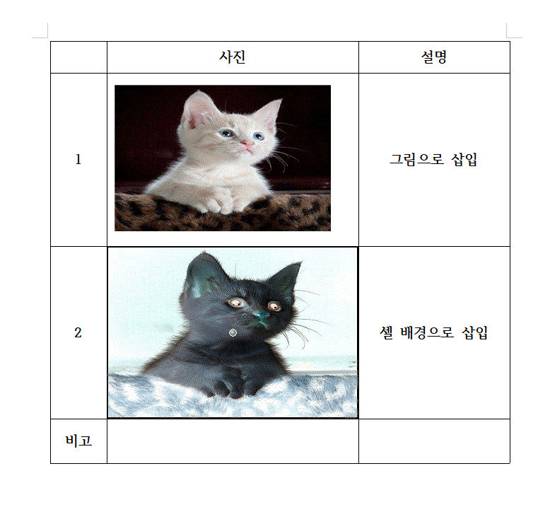 아래아한글 표에 그림 깔끔하게 넣는 쉬운 방법_8