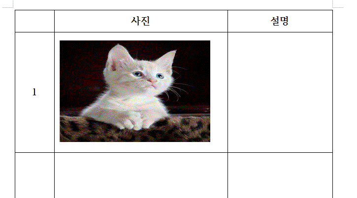 아래아한글 표에 그림 깔끔하게 넣는 쉬운 방법_3