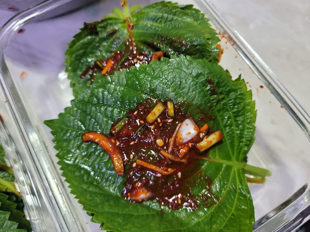 깻잎김치 황금레시피 깻잎양념장 깻잎요리 만드는방법_6