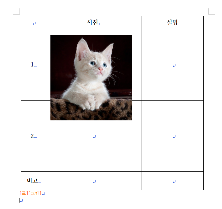 아래아한글 표에 그림 깔끔하게 넣는 쉬운 방법_2