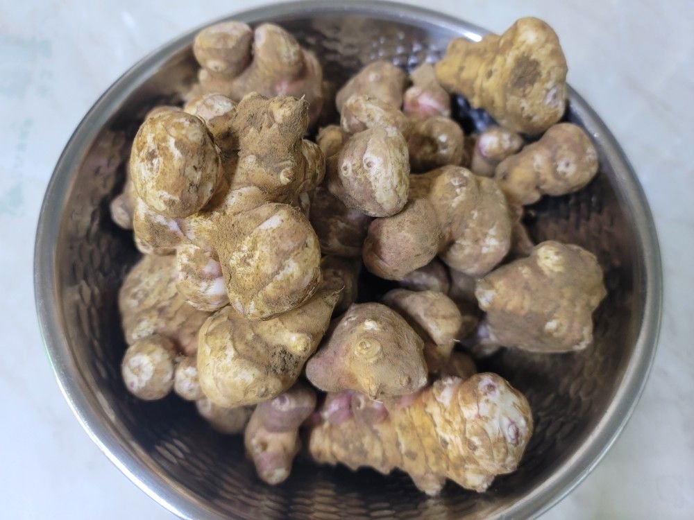 돼지감자손질방법 돼지감자효능 혈당낮추는 음식 당뇨식단_1