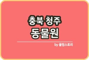 올띵스토리썸네일(낫띵)-복사ㅣ마늘ㄴㅇㄻㄴㄹ