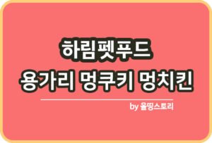 강아지슬개골 탈구 원인 치료방법 슬개골관리_썸네일
