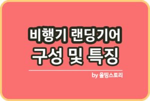 버드스트라이크 비행기사고 원인 비행기조류충돌_썸네일