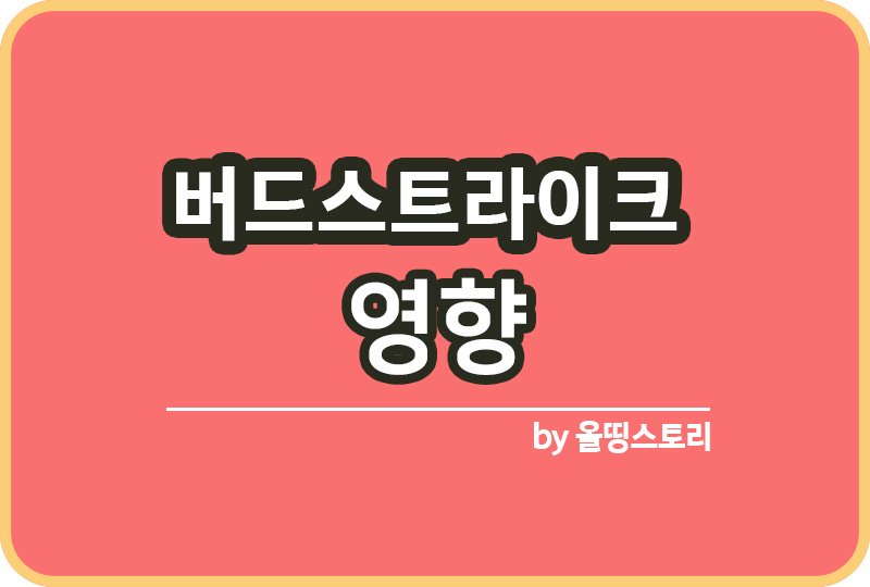 버드스트라이크 비행기사고 원인 비행기조류충돌_썸네일