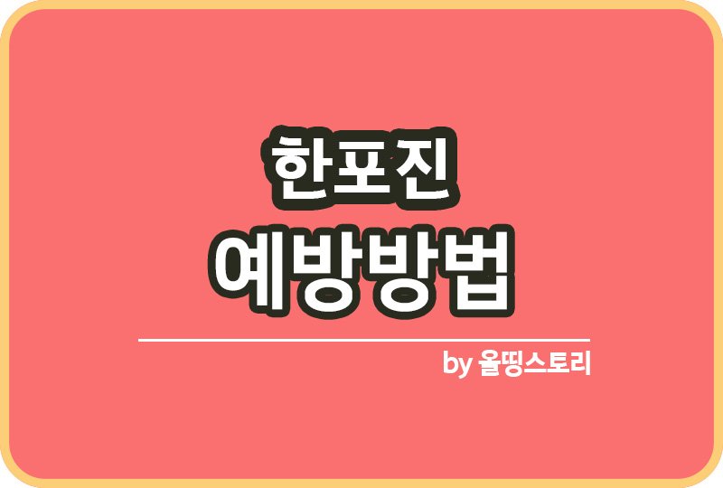 올띵스토리썸네일(낫띵)-복사ㄴㅁㅇㄹㅏㅁㄴ리ㅡㅁㄴㄹ