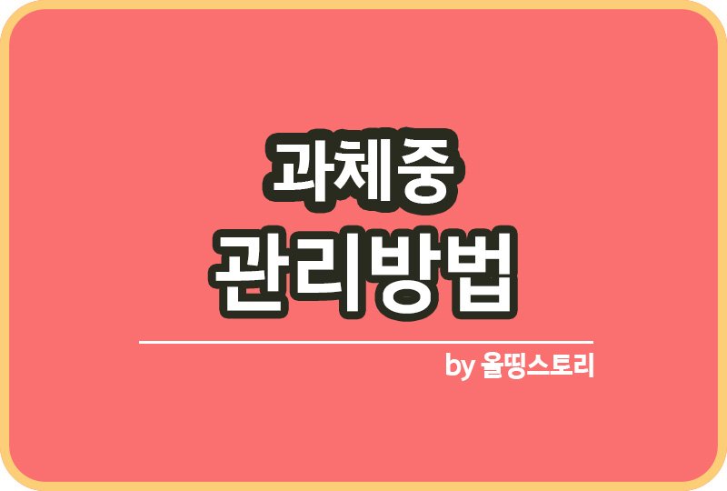 올띵스토리썸네일(낫띵)-복사ㅁ니ㅏㄴㅁㅇ릉ㄴㄹ