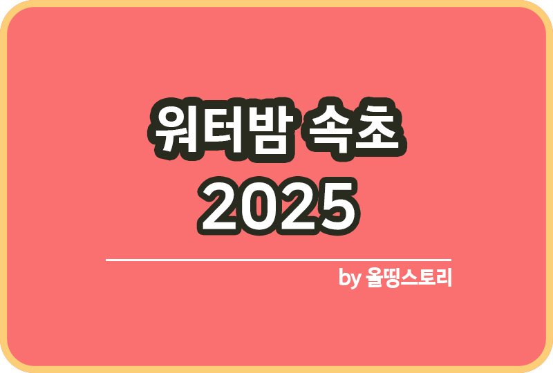 워터밤 속초 2025 예매방법 일정 할인티켓 라인업 공연장소 공연시간_썸네일
