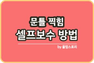 더뉴쏘렌토 배터리 셀프교체 방법 후기 델코 AGM95L_썸네일