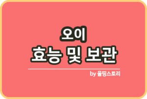 송화버섯 효능 보관방법 송화버섯 표고버섯차이점_썸네일