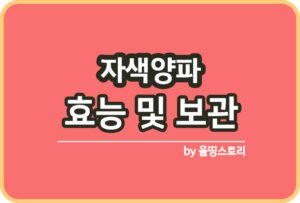 송화버섯 효능 보관방법 송화버섯 표고버섯차이점_썸네일