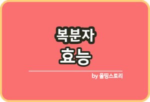 매실 효능 매실청담그는방법 매실섭취방법_썸네일